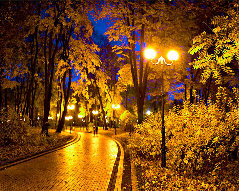 People Walking on Path — Yellow, Serene