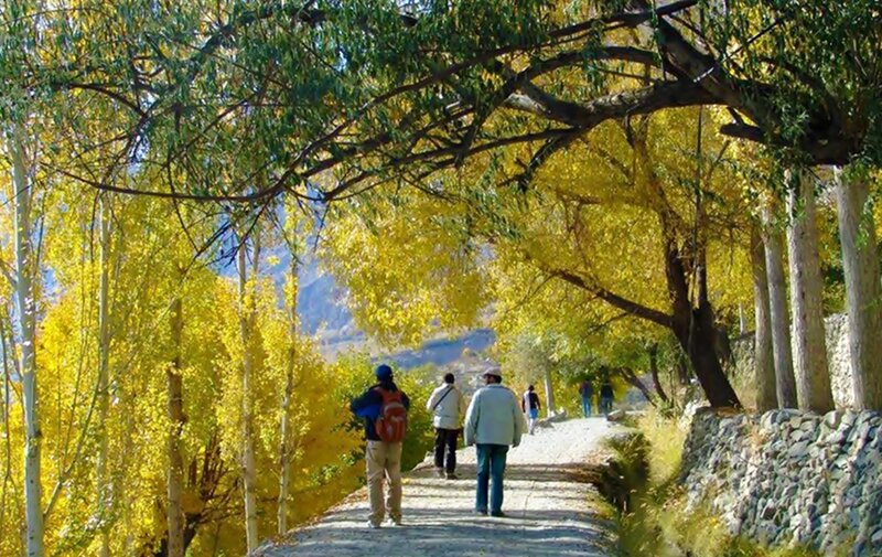 People Walking on Path — Yellow