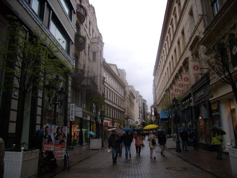 People Walking on Street