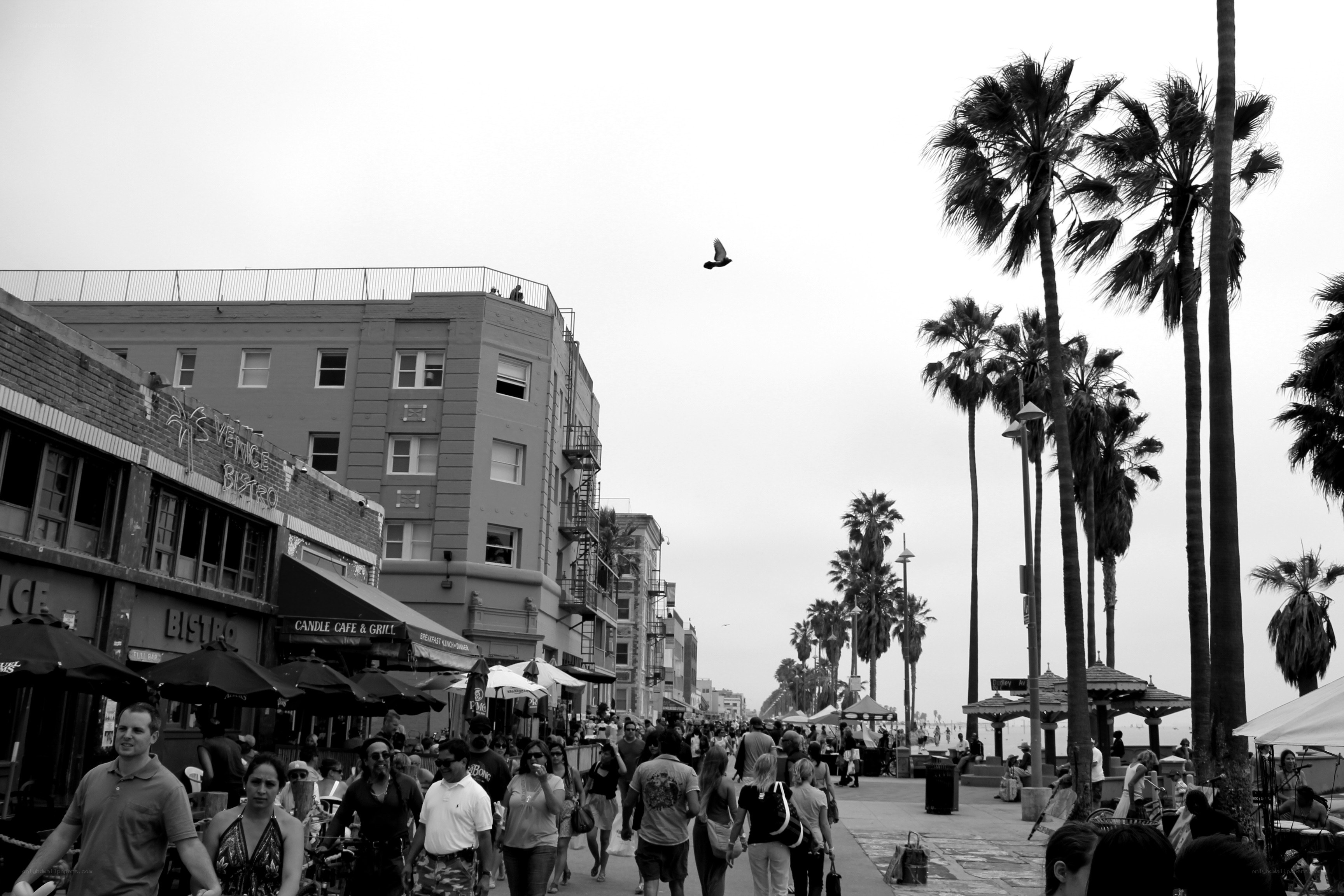 People walking on Venice Beach