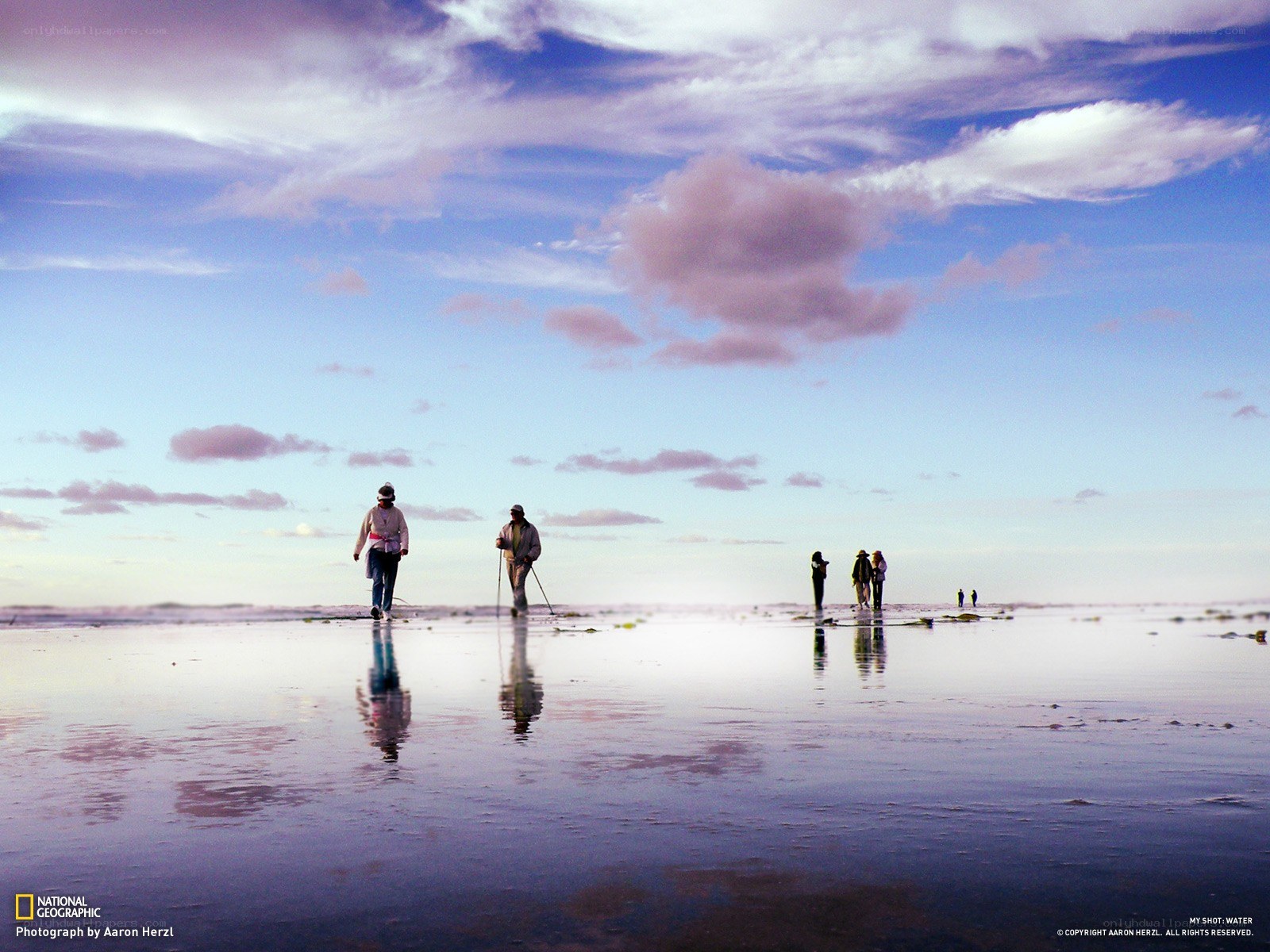 People walking on wet beach
