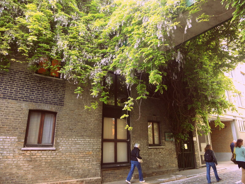 People Walking under Wisteria