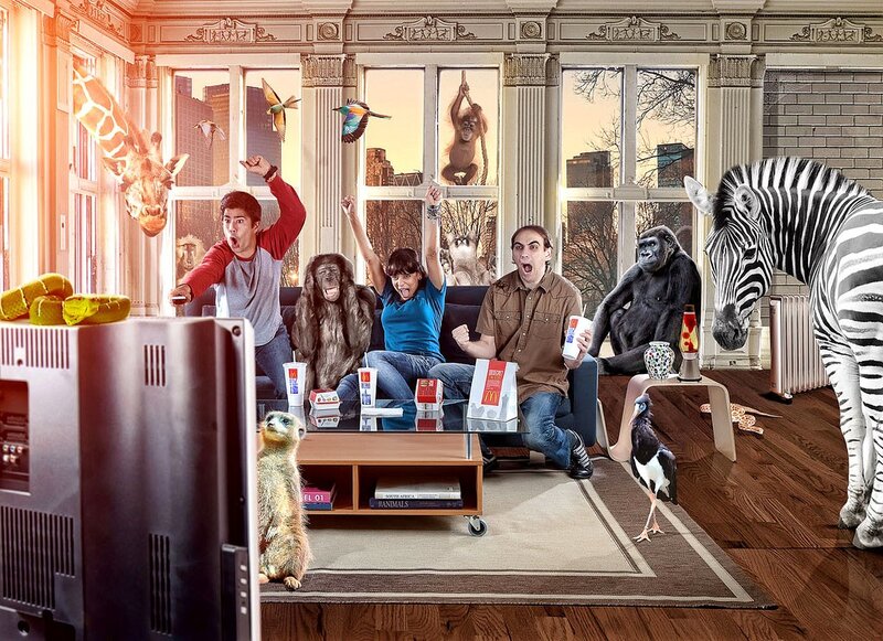 People watching TV with animals