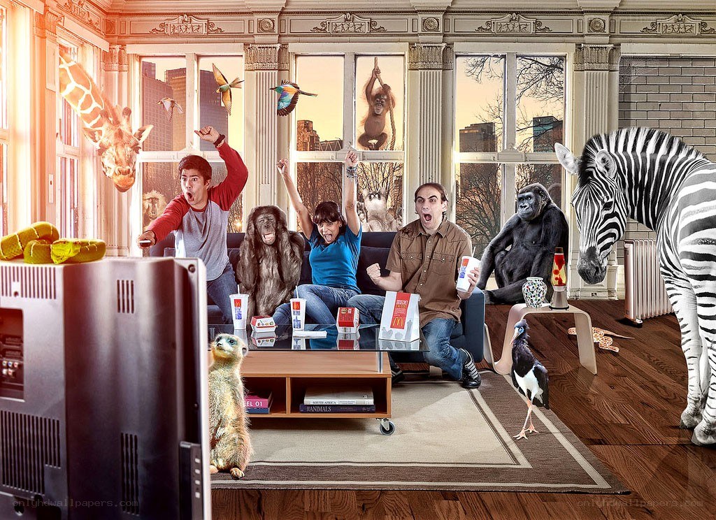 People watching TV with animals