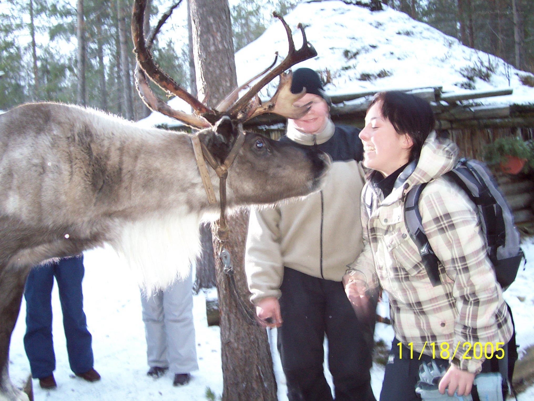People with a reindeer