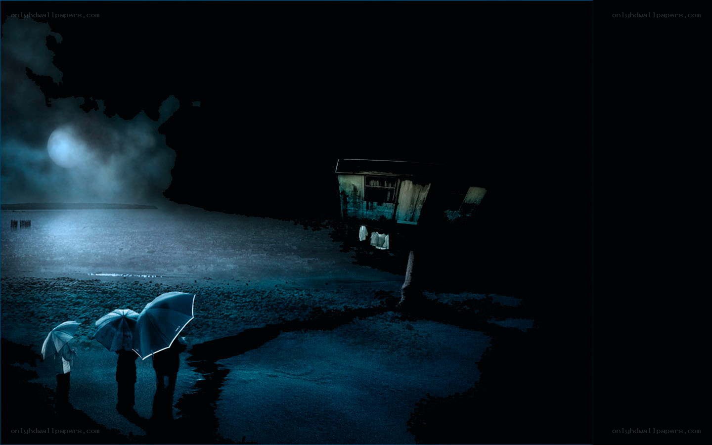 People with umbrellas at night
