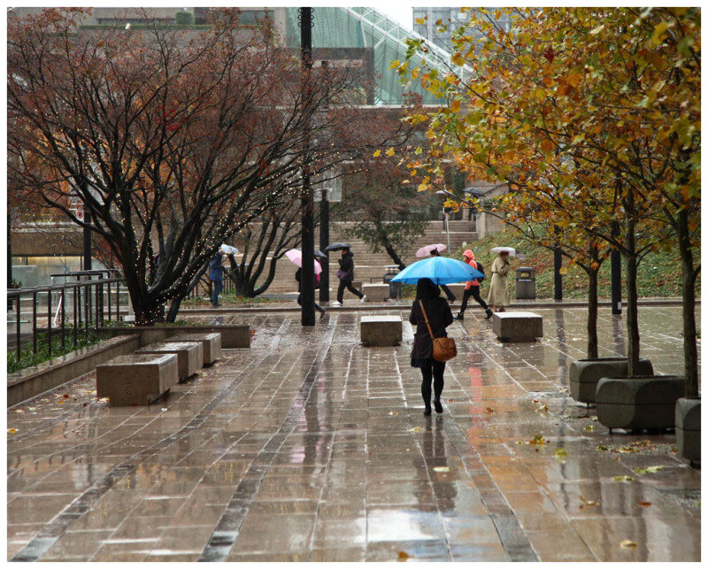 People with Umbrellas in Rain — Brown