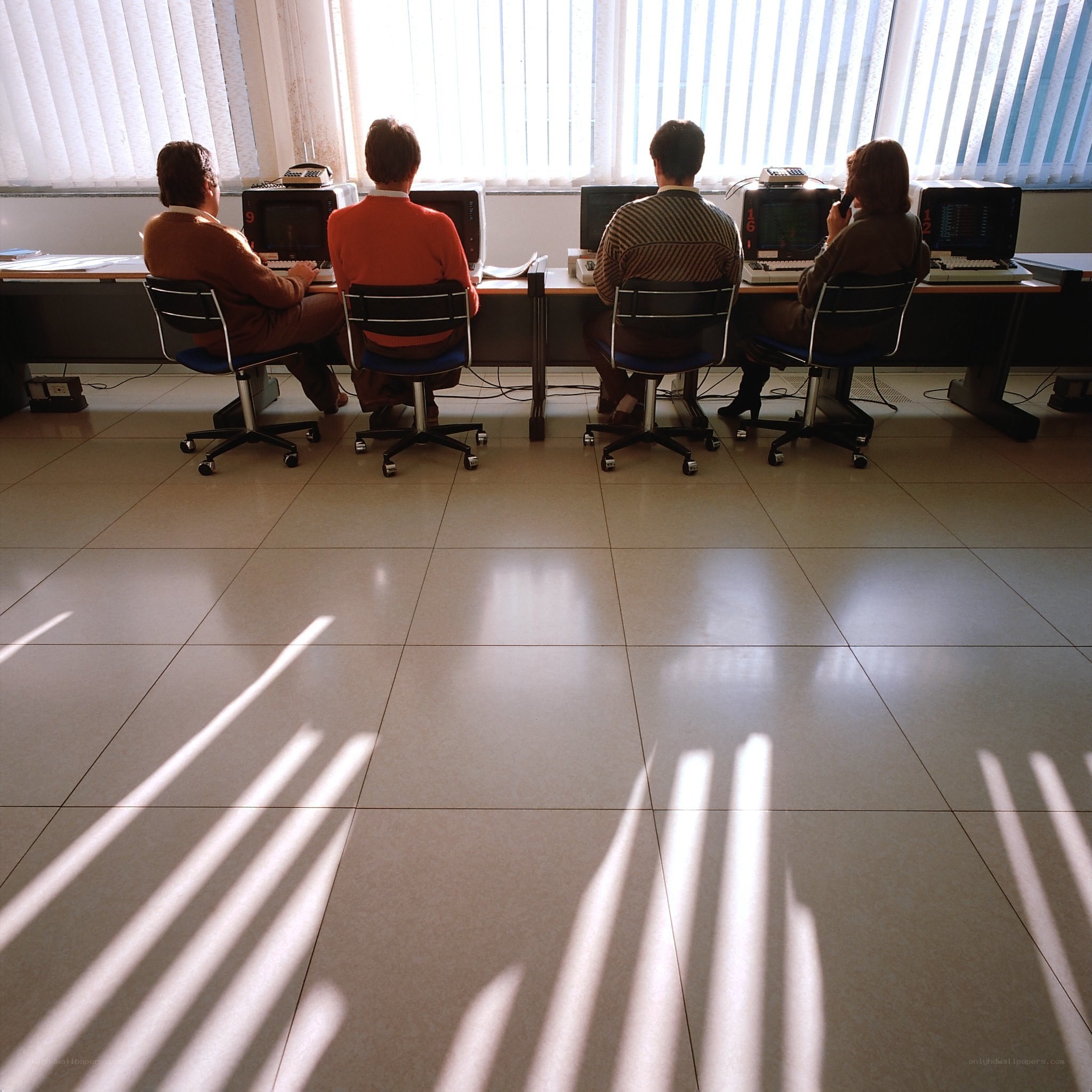 People working at computers in office