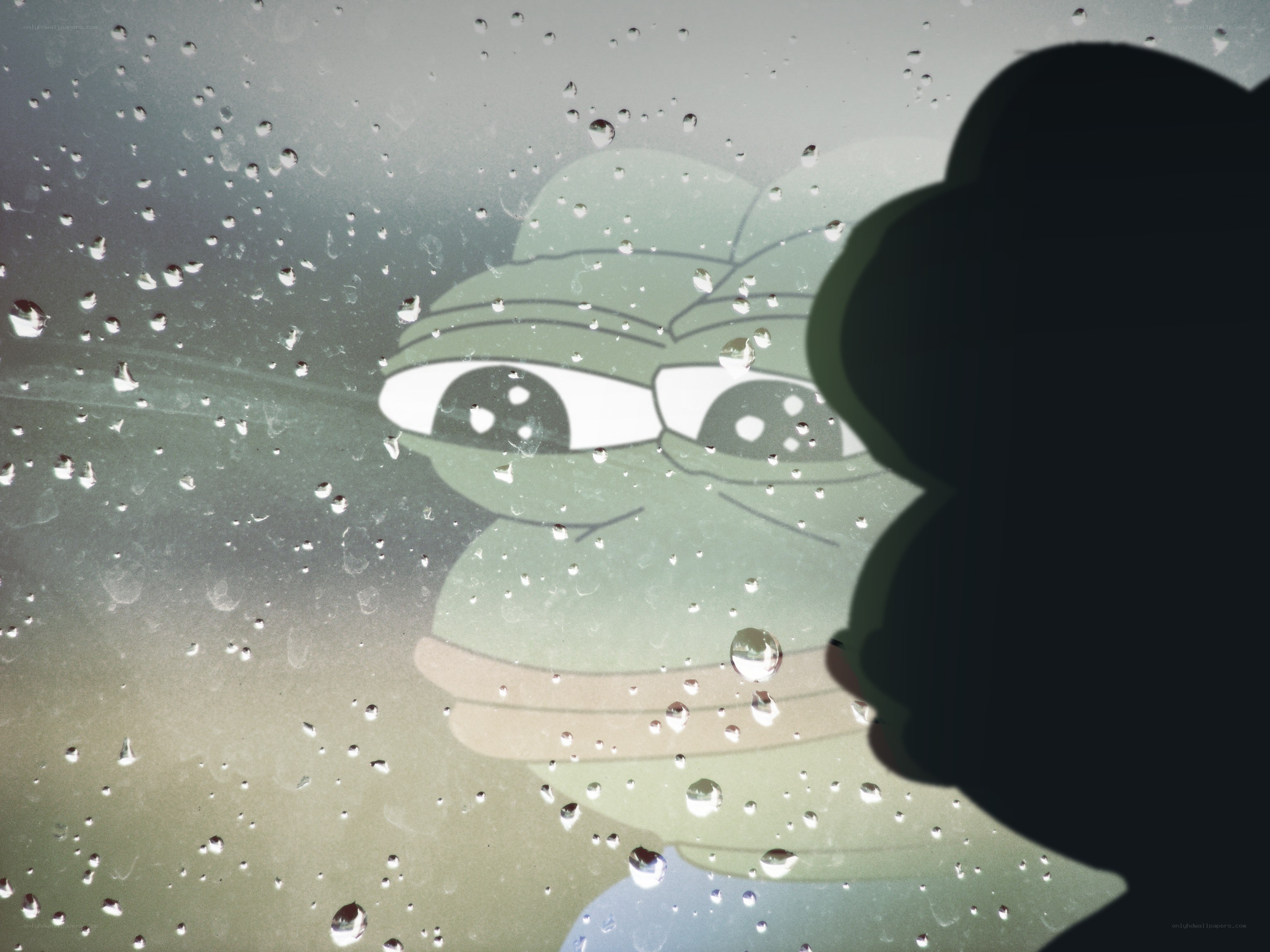 Pepe the Frog on a rainy window