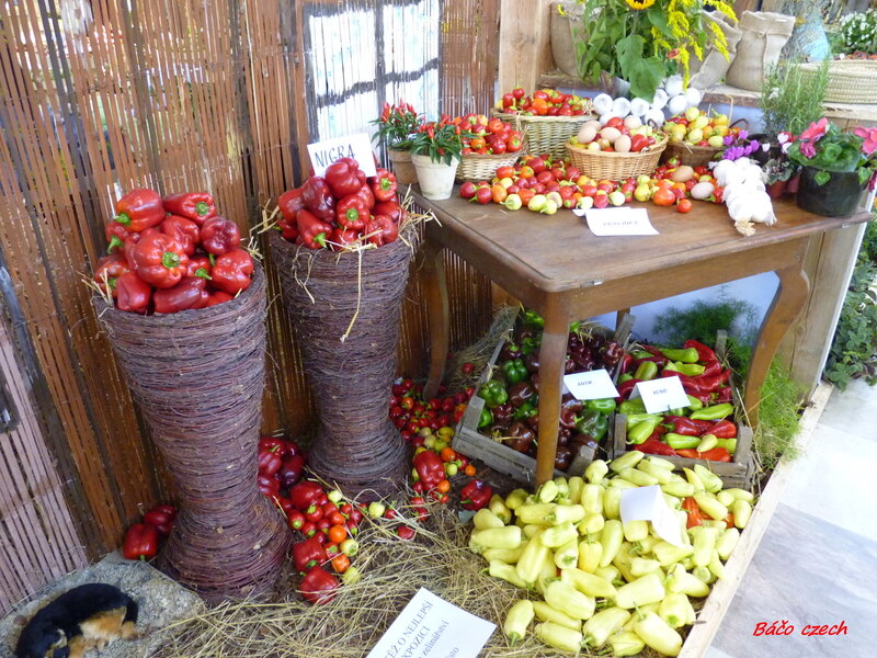 Pepper Display at Market