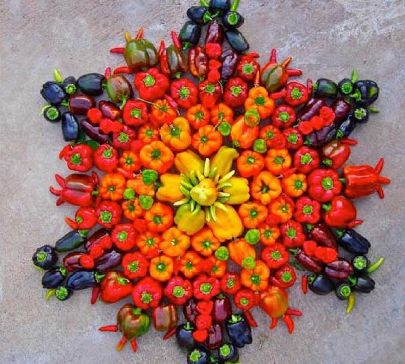 Pepper Mandala Art