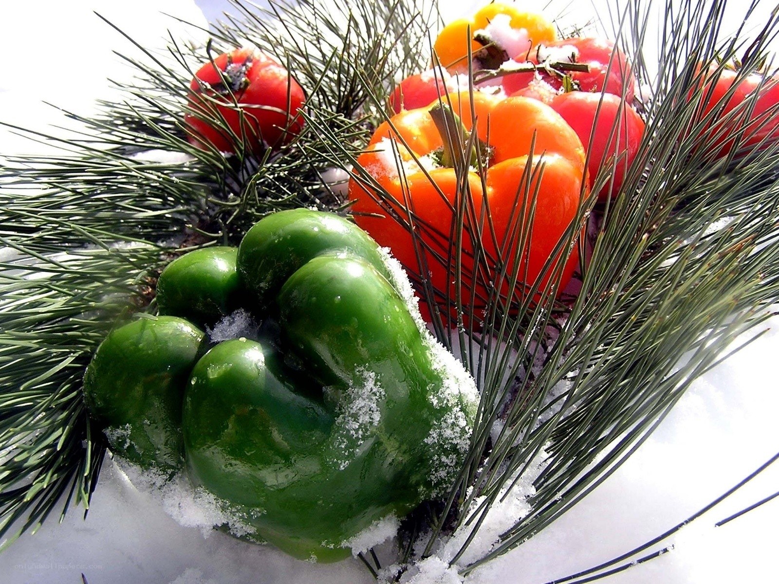 peppers in snow with pine needles