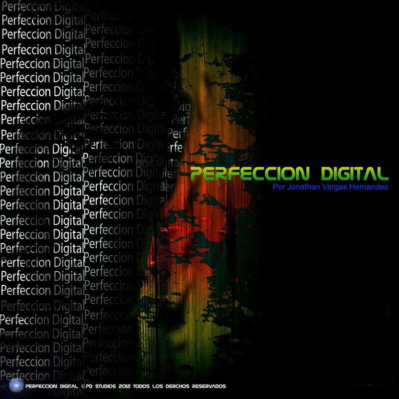 Perfeccion Digital artwork