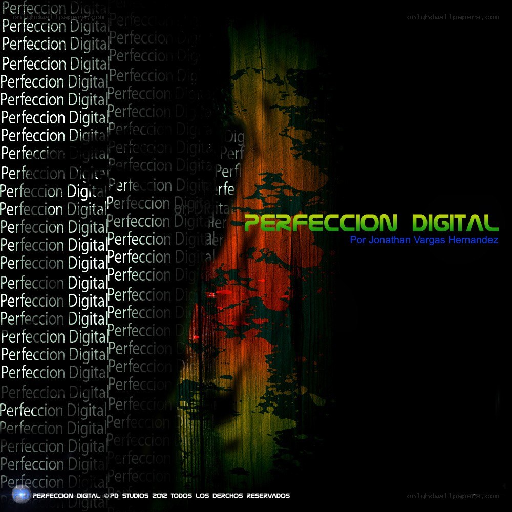 Perfeccion Digital artwork