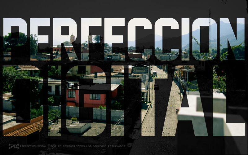 Perfeccion Digital branding