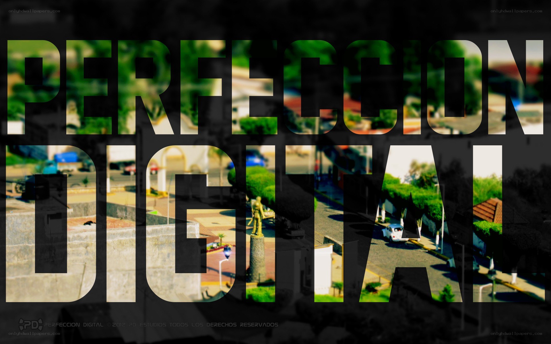 Perfeccion Digital logo