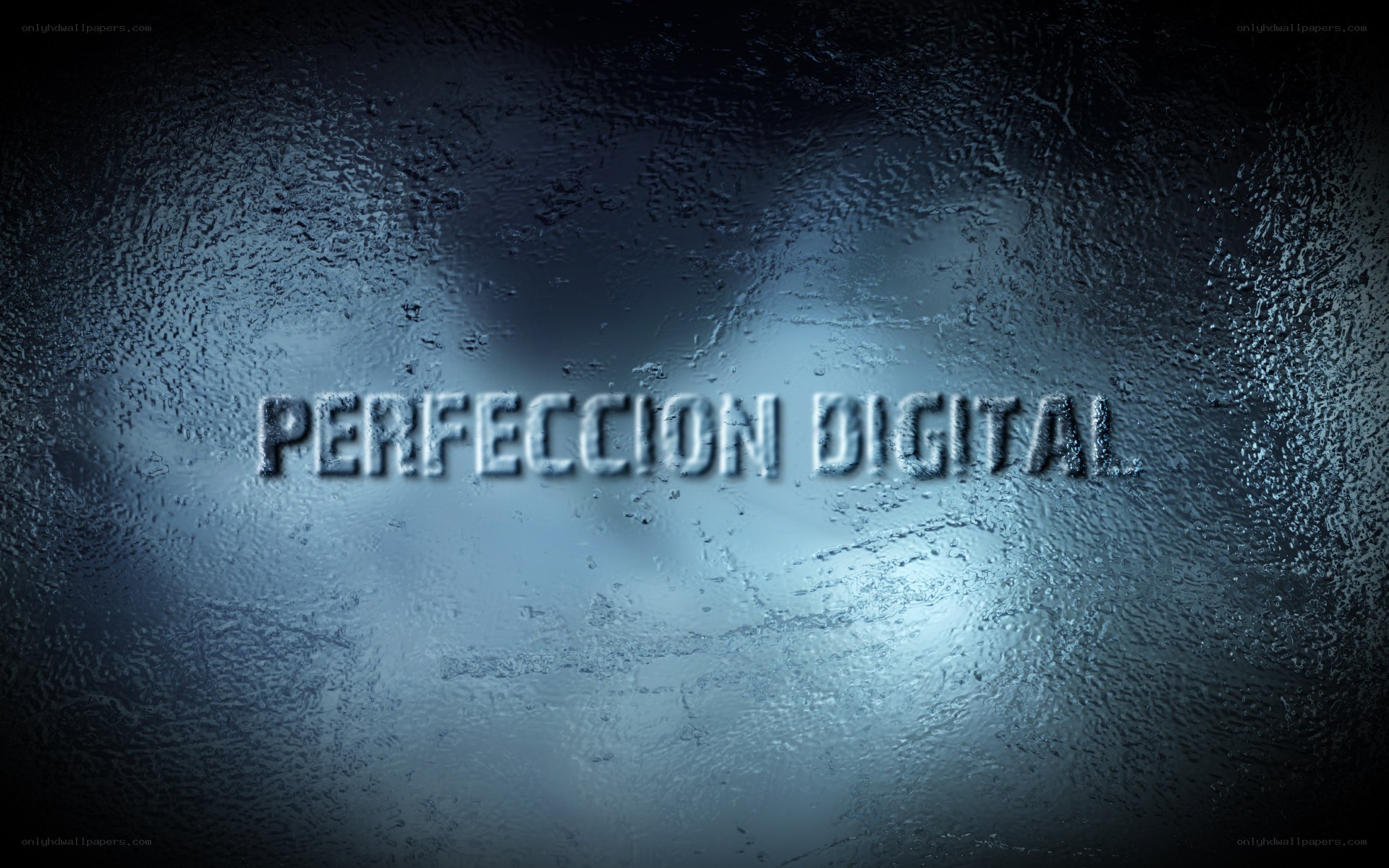 Perfeccion Digital logo