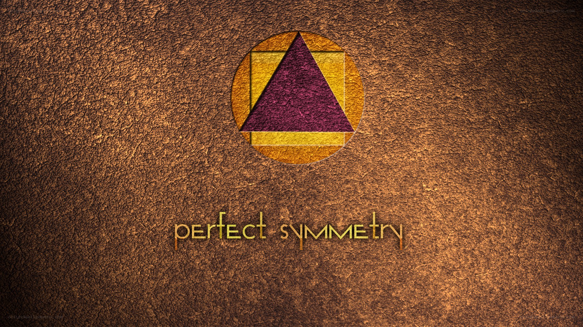 perfect symmetry logo