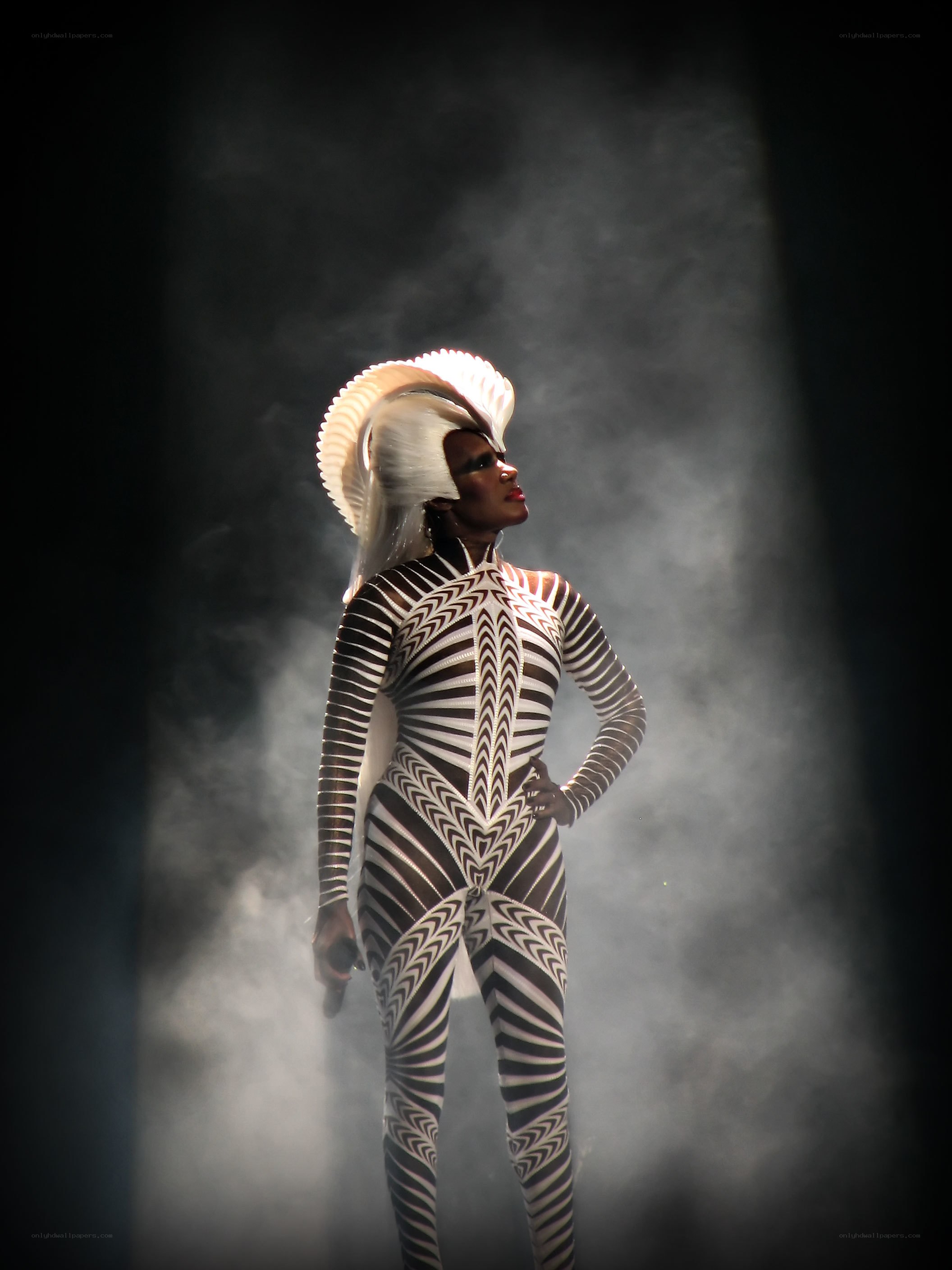performer in zebra costume