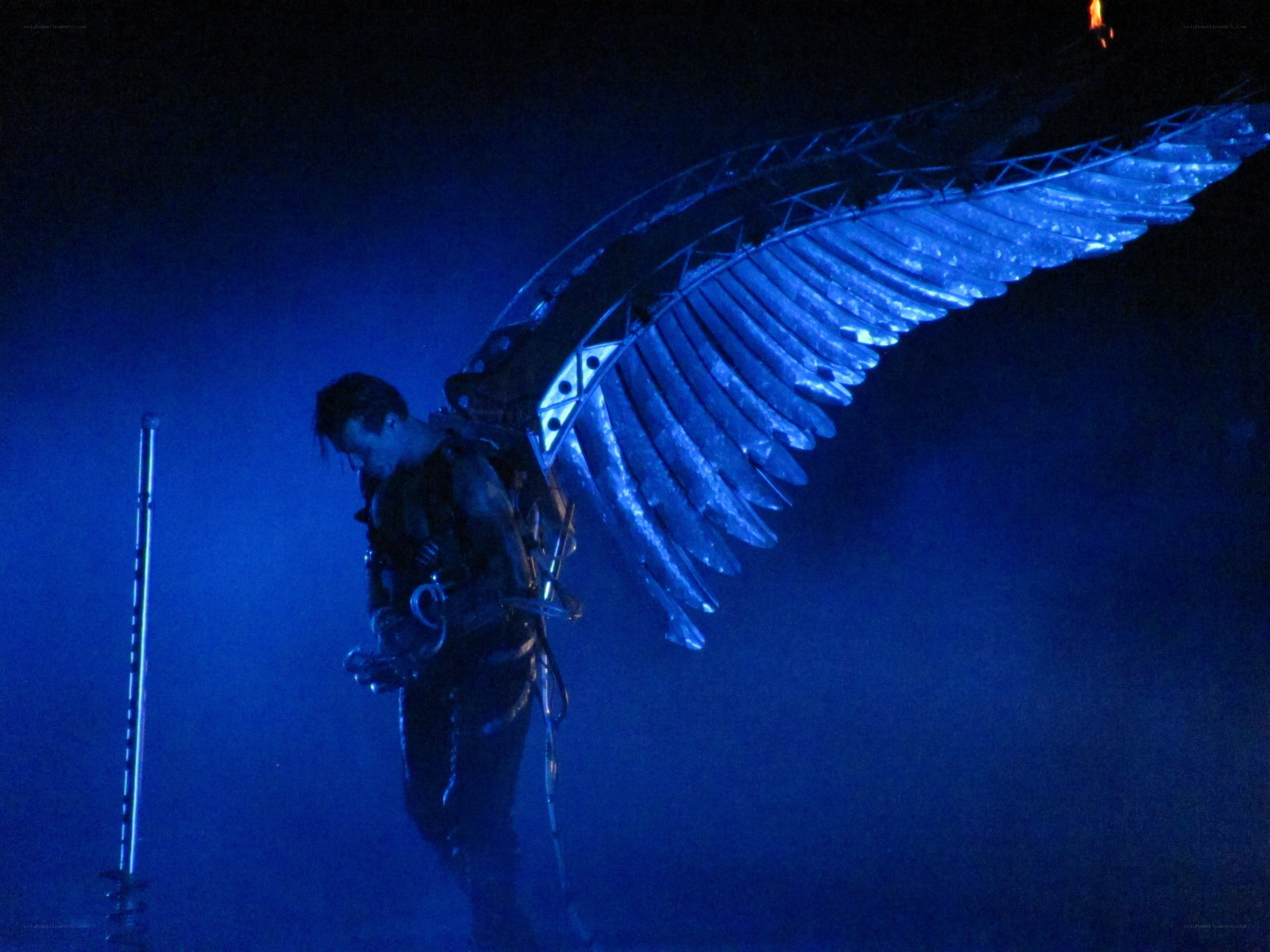 performer with angel wings