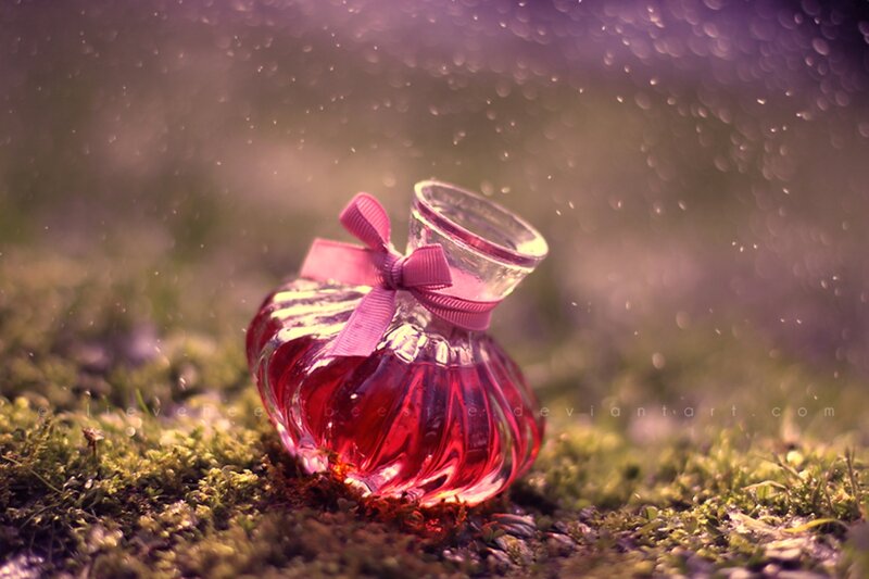 Perfume Bottle on Moss
