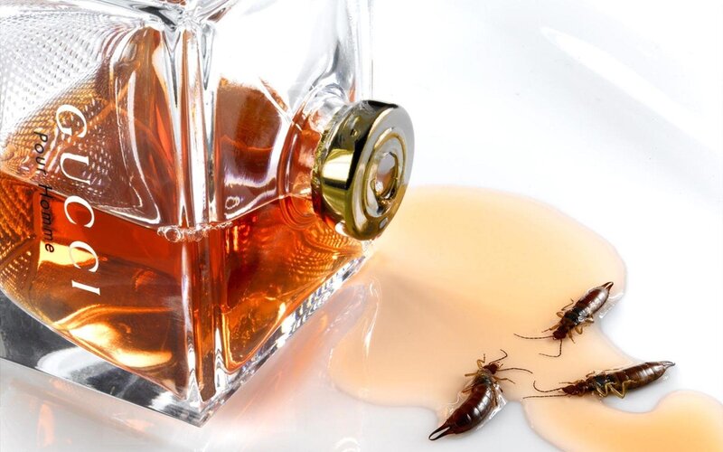 Perfume bottle with insects