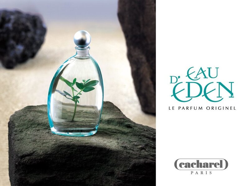Perfume Bottle with Plant