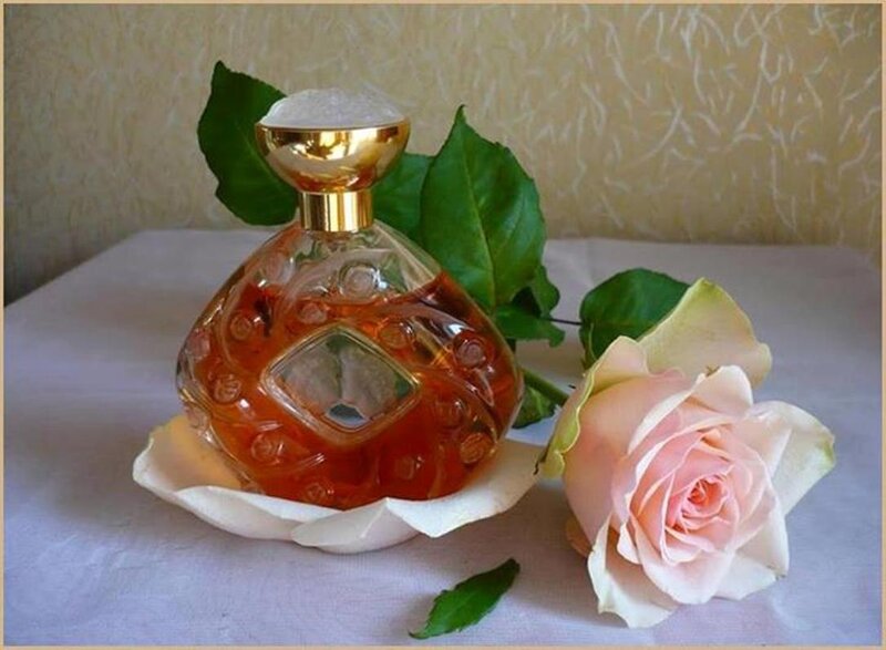 Perfume Bottle with Rose — White, Serene