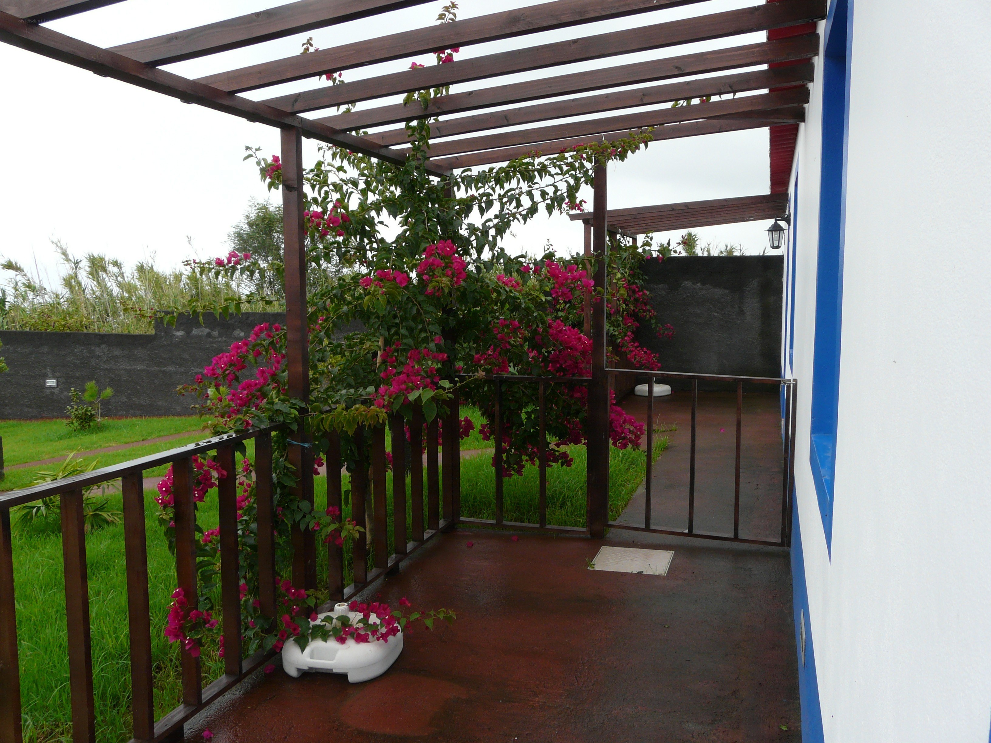 Pergola with flowering vines