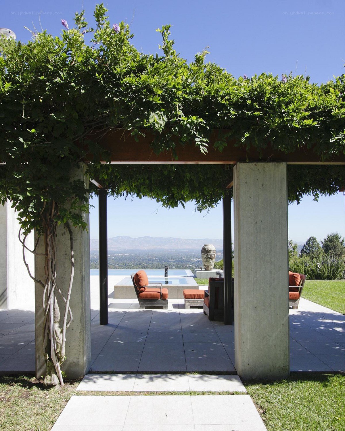 Pergola with vine-covered roof