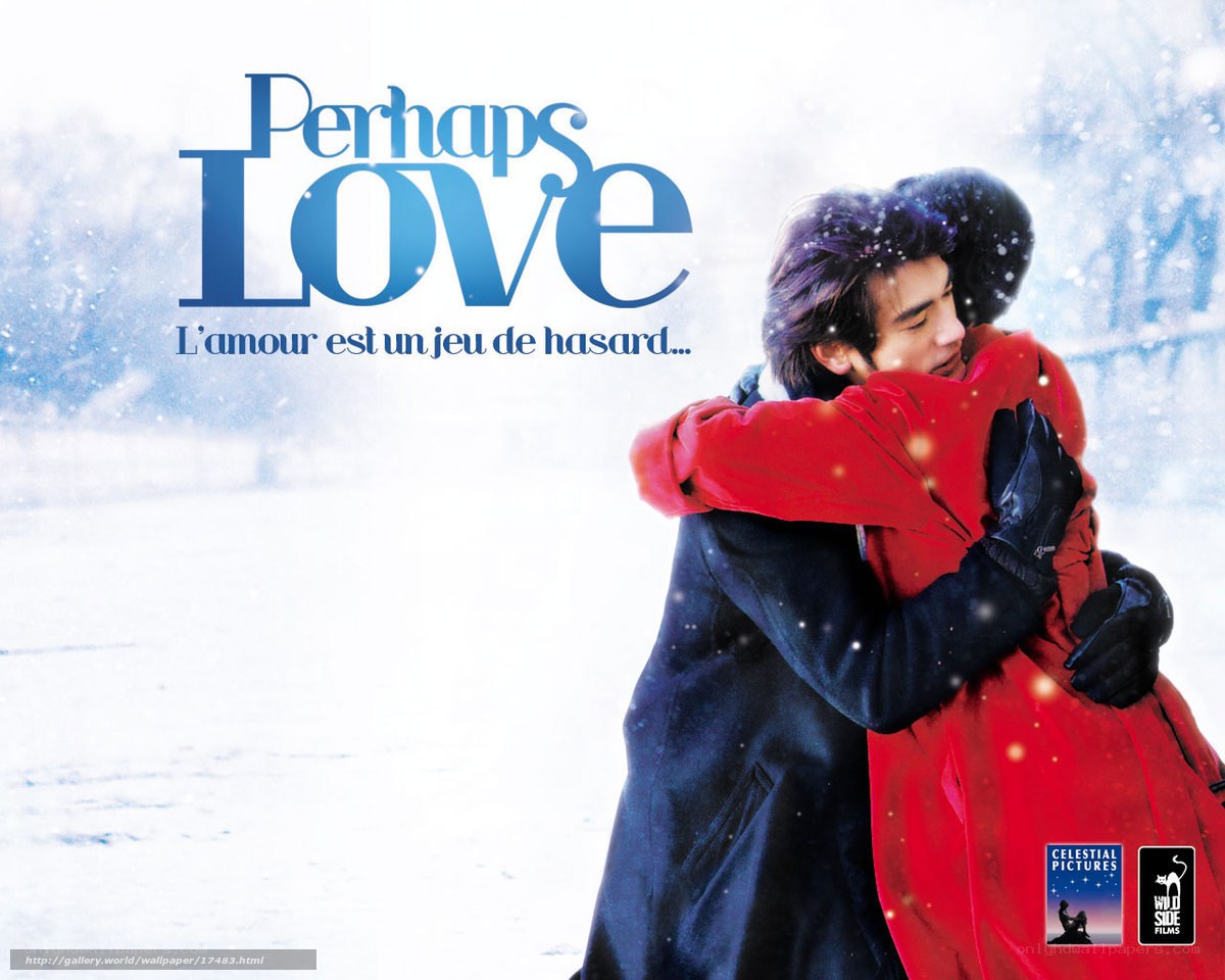 perhaps love movie poster