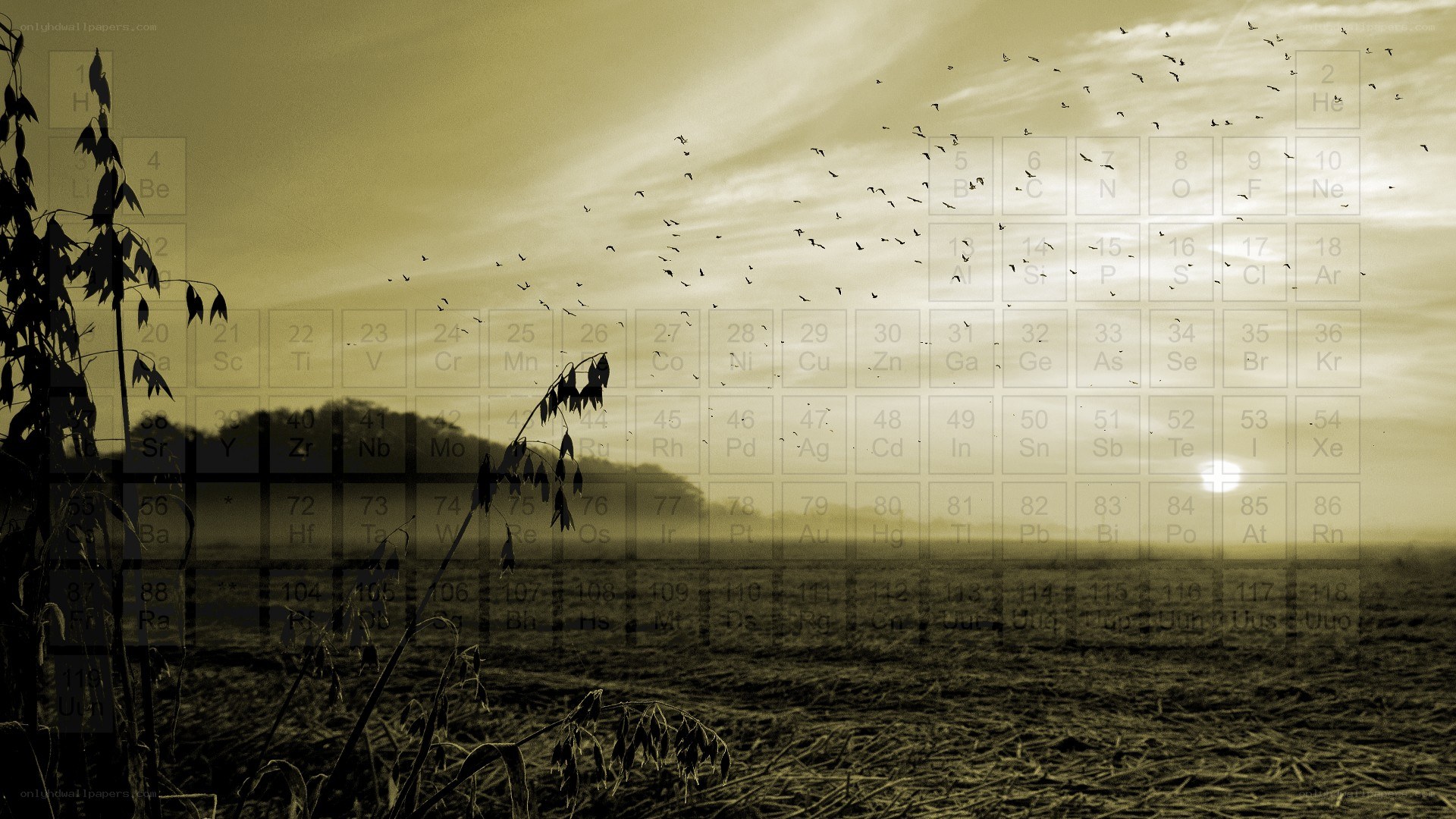 Periodic table over field scene
