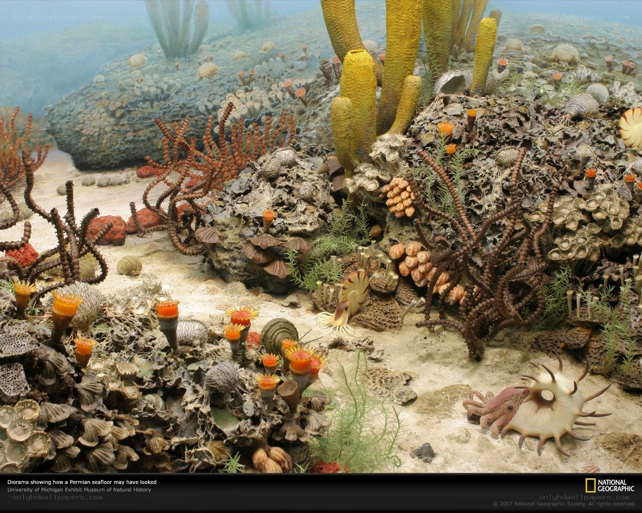 Permian seafloor diorama