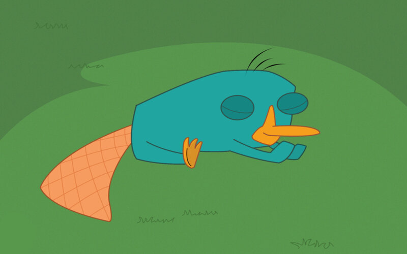 Perry the Platypus sleeping