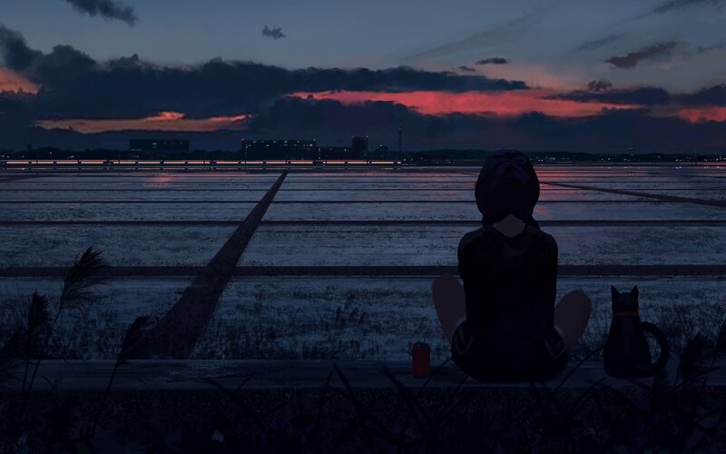 Person and Cat at Dusk