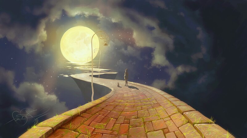 Person and Cat on Bridge