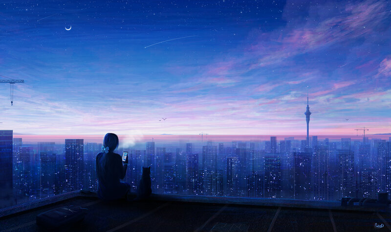 Person and Cat on Rooftop