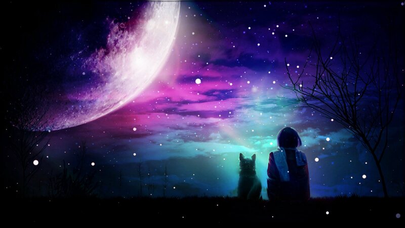 Person and Cat under Moon
