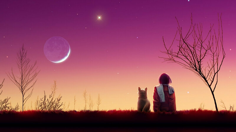 Person and Cat Watching Moon