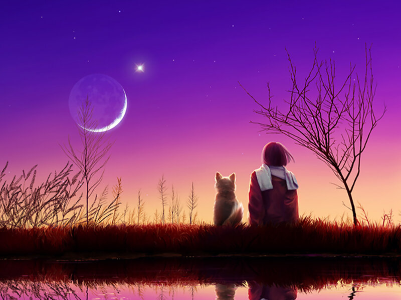 Person and Dog at Night