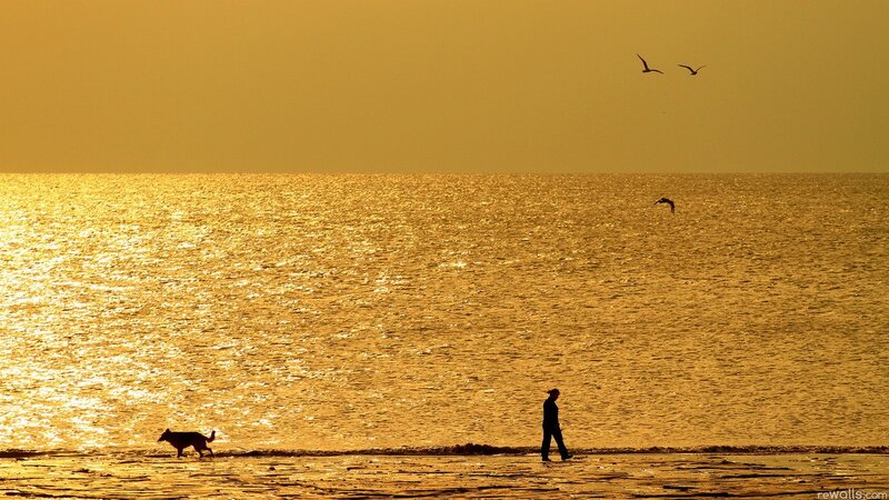 Person and dog at sunset