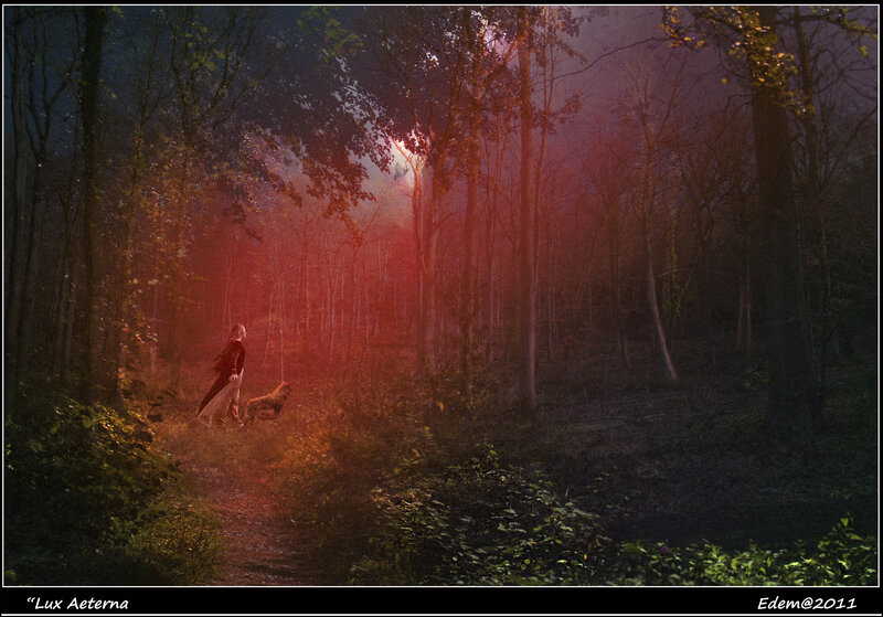 Person and Dog in Forest — Red