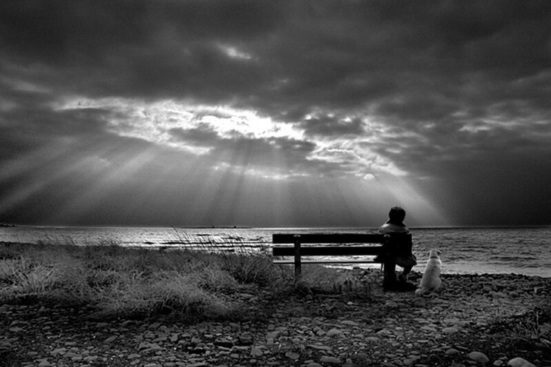 Person and dog on a bench