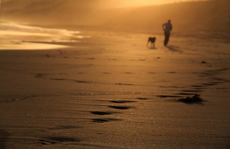 Person and dog on beach at sunset