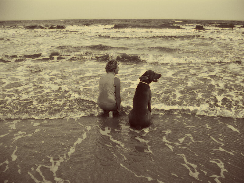 Person and Dog on Beach — Brown, Calm