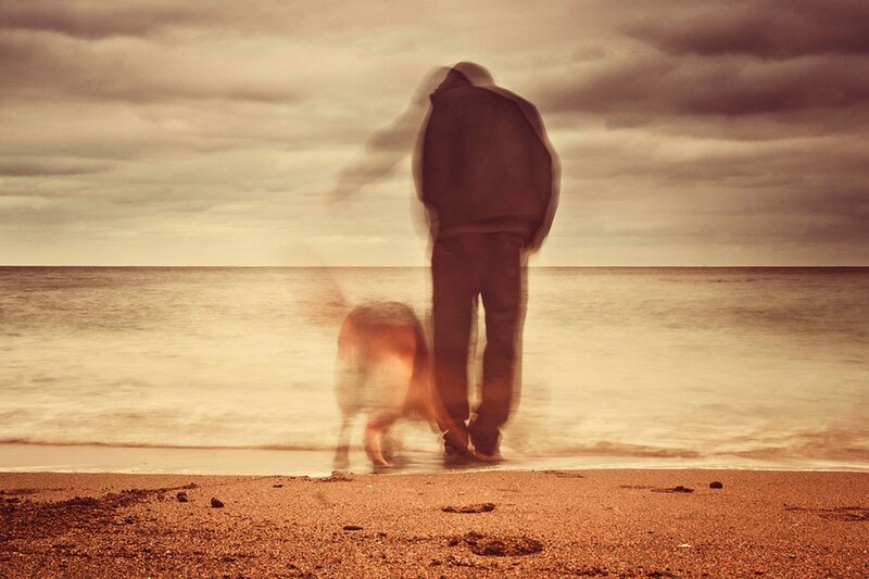 Person and Dog on Beach — Brown