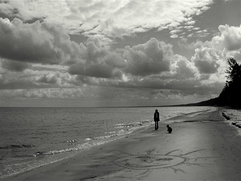 Person and Dog on Beach