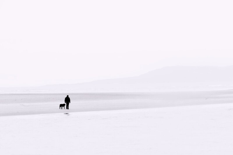 Person and Dog on Beach — White
