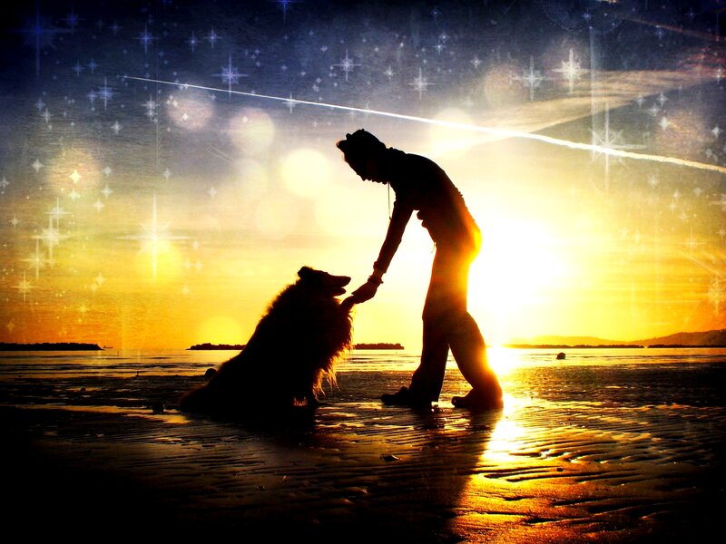 Person and Dog on Beach — Yellow