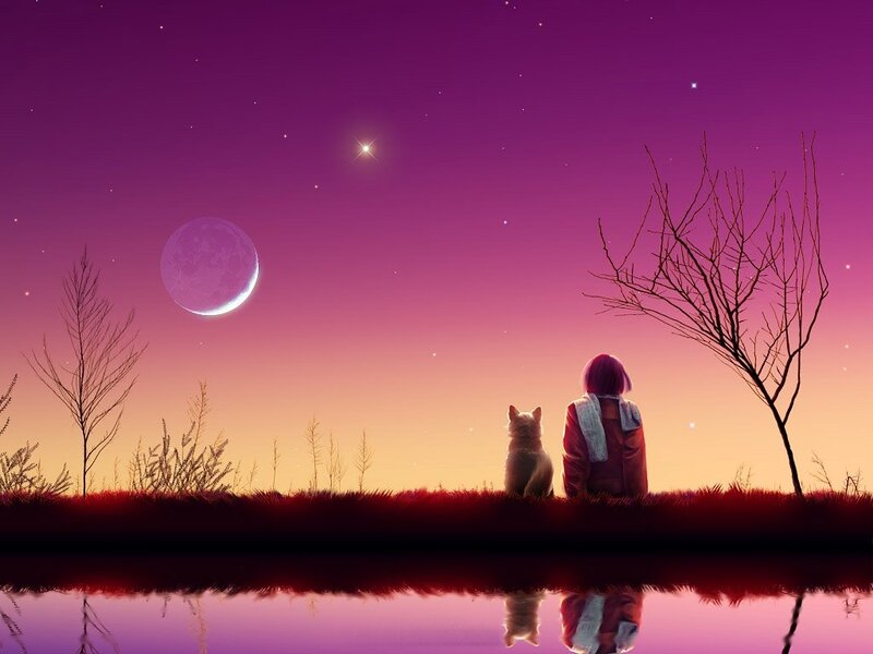 Person and Dog on Shore
